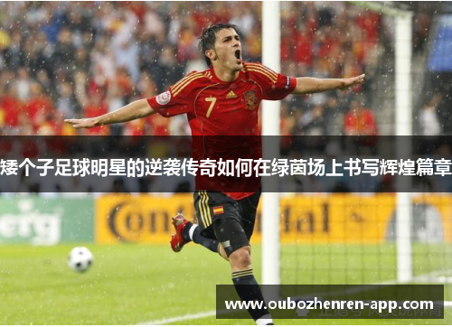 矮个子足球明星的逆袭传奇如何在绿茵场上书写辉煌篇章
